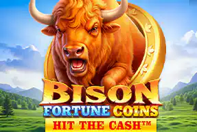 Bison Fortune Coins
