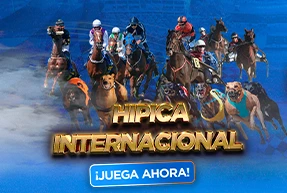 Universal Race